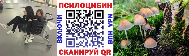 Галлюциногенные грибы мухоморы нарко площадка Telegram Тогучин